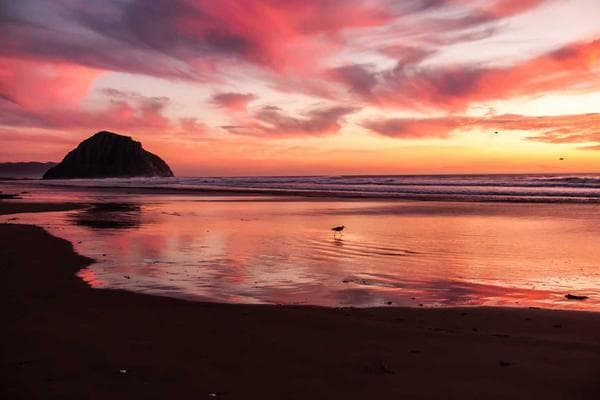 Image illustrant l'énergie solaire en Ituri.